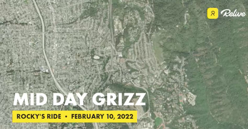 Mid Day Grizz