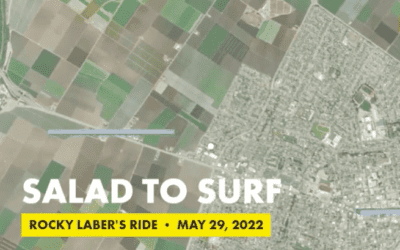 Salad to Surf