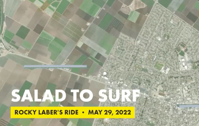 Salad to Surf