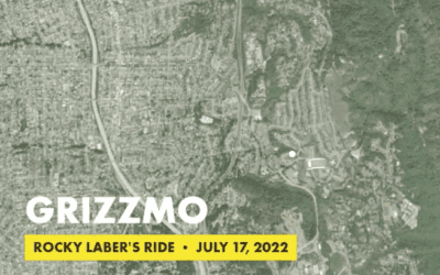 Grizzmo