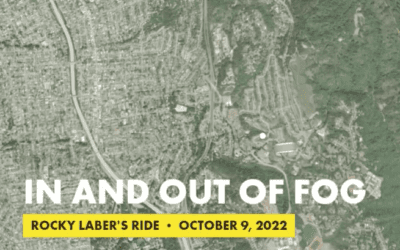In and Out of Fog