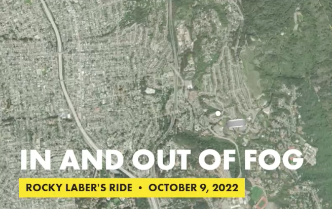 In and Out of Fog