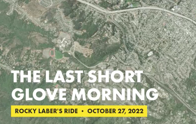 the last short glove morning
