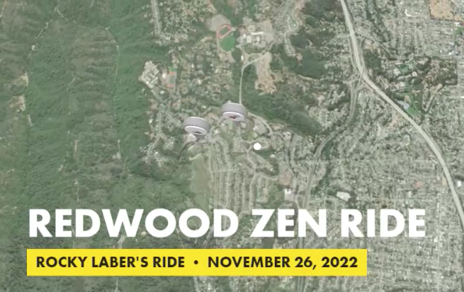Redwood Zen Ride