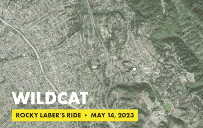 Wildcat Reconnaissance