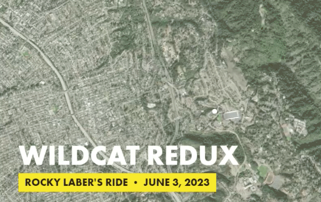 Wildcat Redux