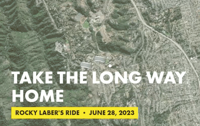 Take the Long Way Home