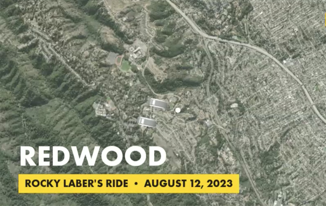 Redwood