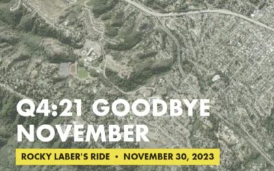 Goodbye November