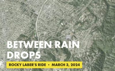 Between Rain Drops