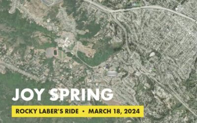 Joy Spring
