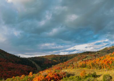 Fall colors near Park City, Utah