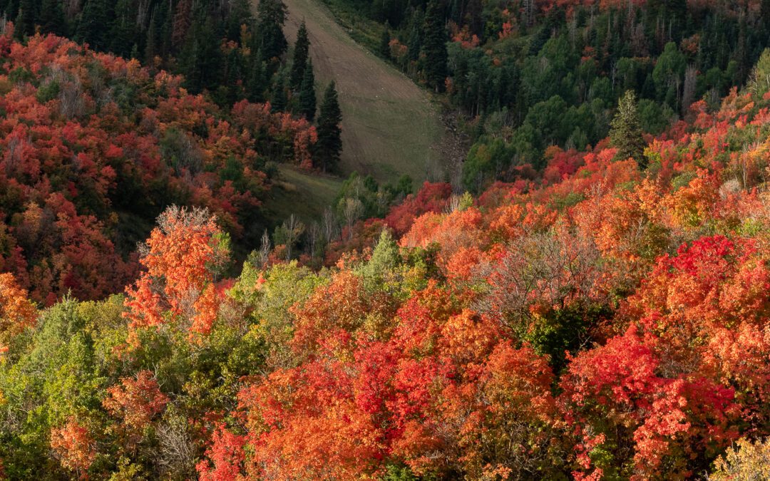 Donut Falls and Park City