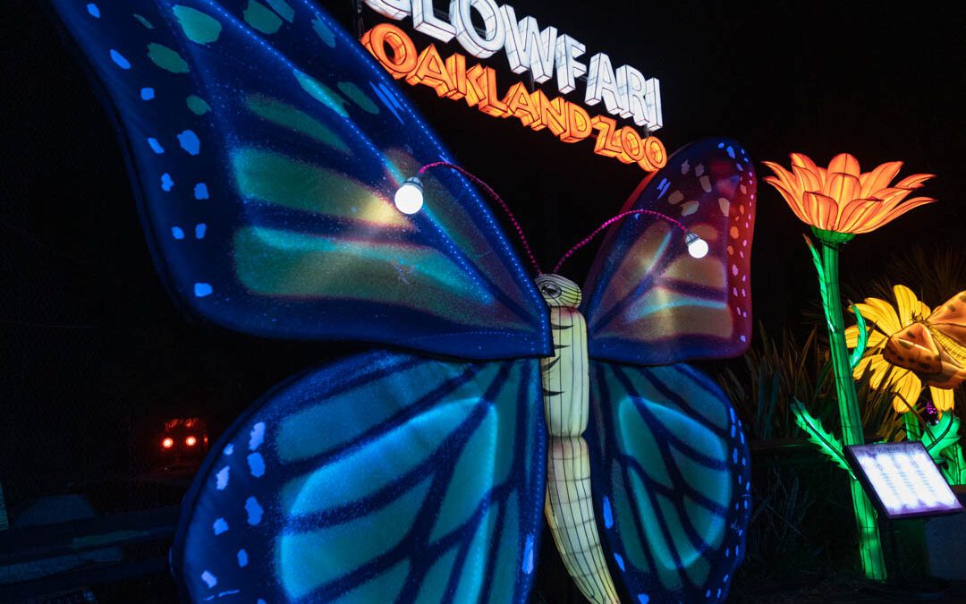 Glowfari